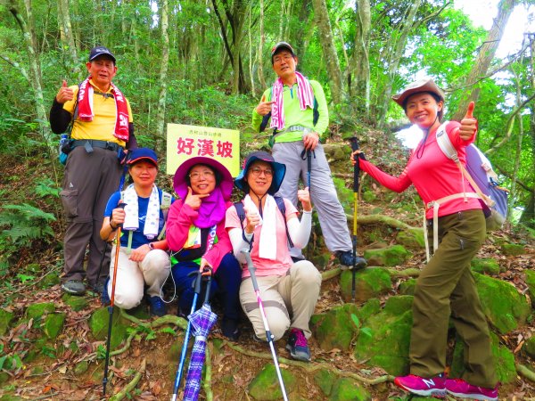 【新竹關西】登赤柯山 小關西1190563