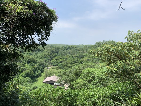 20250906台南合山-觀音山-大坑尾山-臭腳崎山2881450