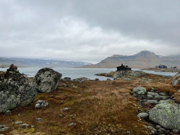 Norway-FINSE-Hardangervidda冰河高原健行-未竟2917795