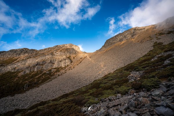 心映雪翠｜Mt.Xue｜Taiwan 785809