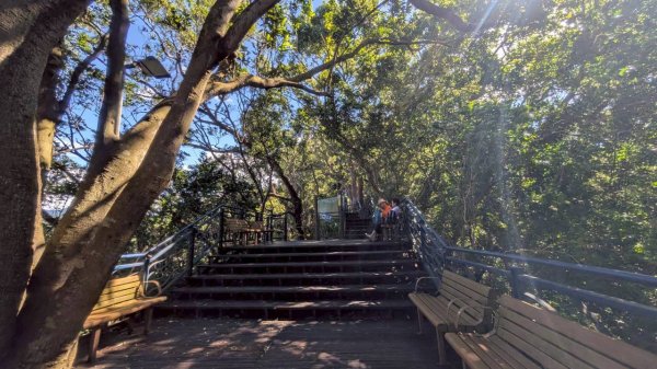 114.08.16和美山之微笑山線2864967