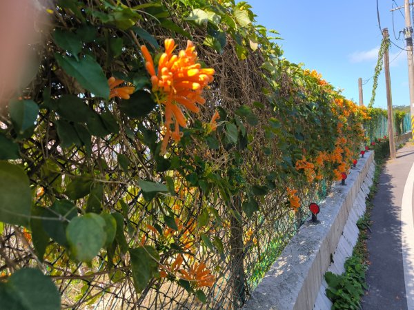 台北大縱走第一段3015761