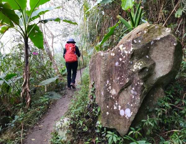 梅峰古道上竹子尖山264345