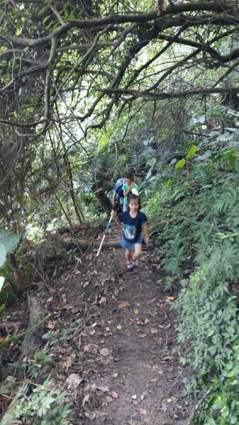 新溪洲山之樂400358