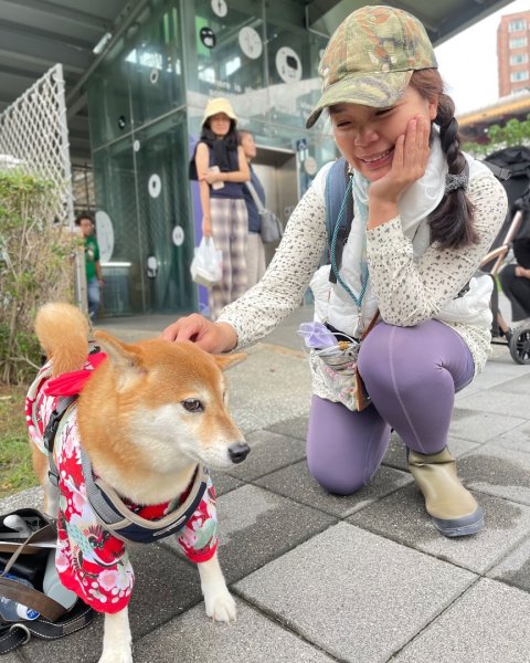 雨天備案💙 台灣博物館的古生代館-台大動植物館免費參觀-北投♨️季2929275