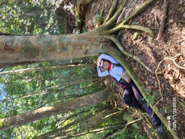 逆走逐鹿卡保環型路線全段全紀錄2949850