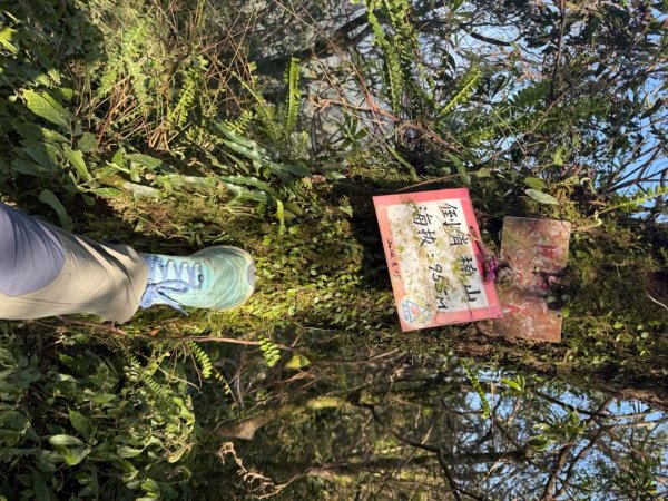 坪林五山縱走 ：九芎根山、金紙崙山、鳥嘴尖山、倒稍楠山、紀州寮山O形2745294