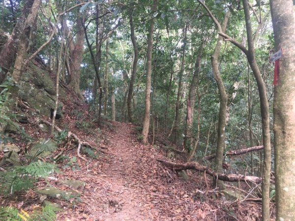 橫龍古道、騰雲駕霧、雲海處處、彩虹彎彎1924702