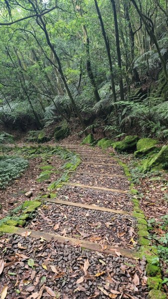 環七星山人車分道2147729