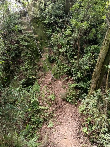 汐止區磐石嶺福興宮+581峰+雙十塔+耳空龜山+四分尾山+大尖山2805720