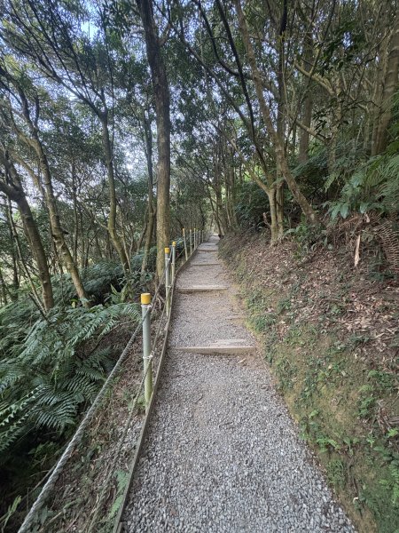 2025.10.12.碧溪_長壽坡_翠山步道2911526