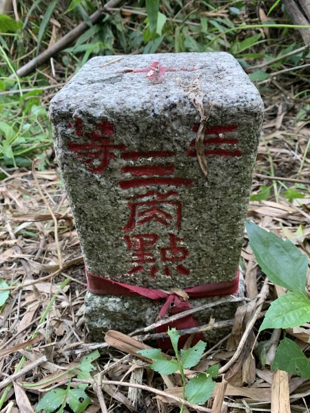 20250929台南草坪埔山-牛息山-竹腳湖山西北峰2899758