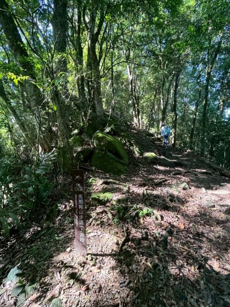 2025/6/28馬那邦山2823661