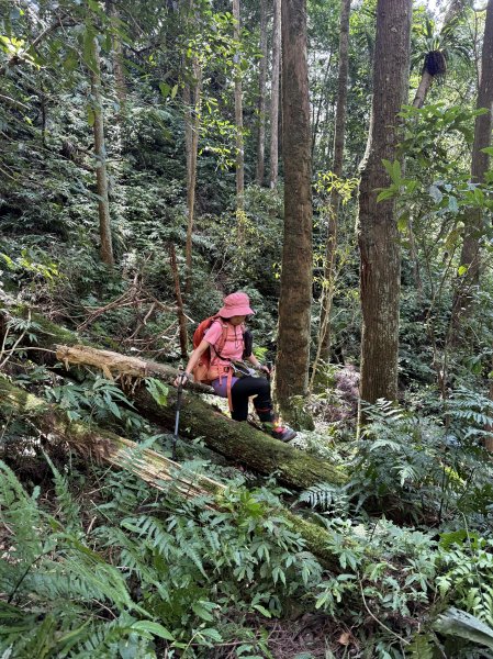 熊空瀑布+熊空山未竟+竹坑山O繞202508162863667