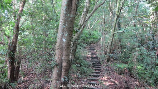 《苗栗》關刀出關｜三義關刀山出關古道(聖關段-苗56)202509052878829