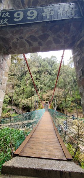 2023-01-01杉林溪青龍蕨類步道(青龍瀑布)、松瀧岩瀑布及天地眼步道1978894