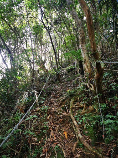 九華山福德宮-平溪子山-台和煤礦-北43鄉道-106縣道2907776