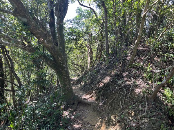 [微笑山線_第九段] 2025_0914 二格山系_皇帝殿東峰2889523