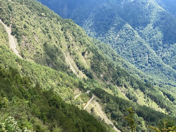 塔塔加黑森林2668047