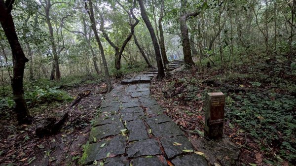 114.11.01旅聯網21週年活動之七星山-七星山東峰-七星公園-夢幻湖2928907