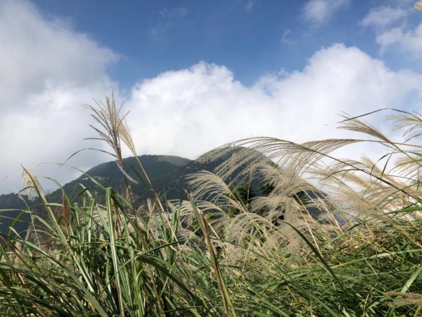 大屯山西峰542110