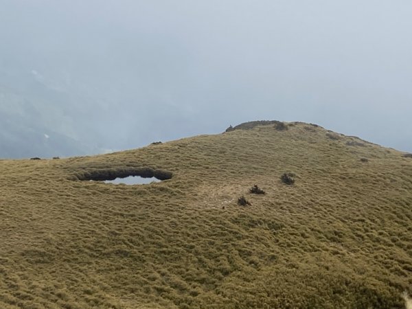 合歡北峰。時晴時霧時雲雨1481427