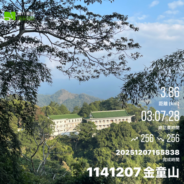 1141207金童山2957743