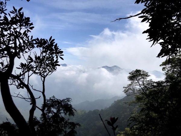 高島縱走（高台山連走島田山）202105081968734