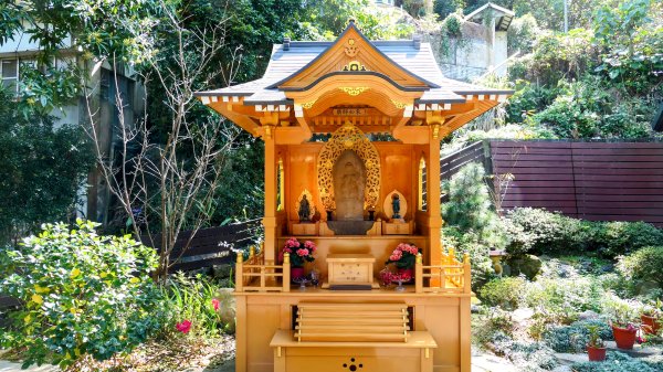 《蝶戀花・善光寺禪門櫻花》2709760