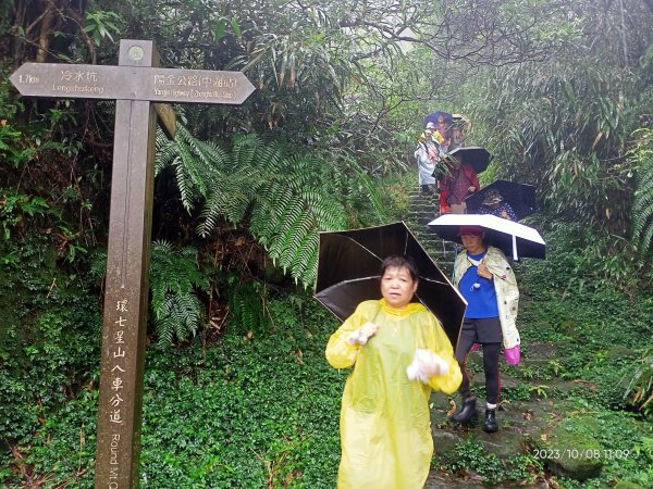 百拉卡公路人車分道、環七星山人車分道百拉卡公路入口站至冷水坑段、大港墘公園【走遍陽明山、健康大穀東】2307536