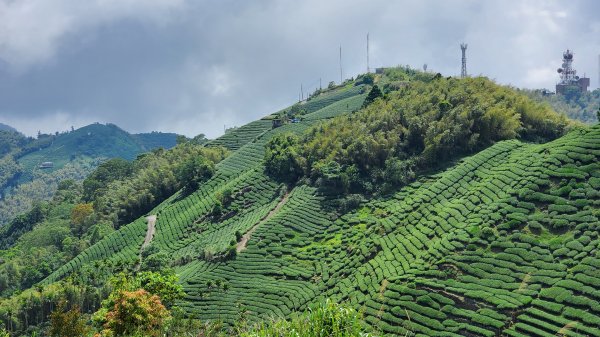 雲嘉大尖山 梨子腳山1727400