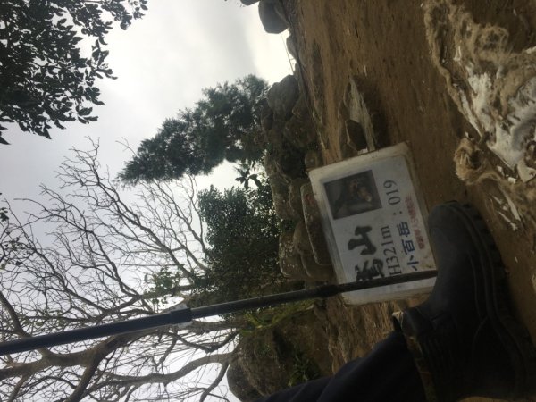 鳶山三連峰O繞一圈（三峽老街祭五臟廟 #鳶山 #鳶山東峰 #鳶尾山 #鳶山岩 #三峽老街2683240