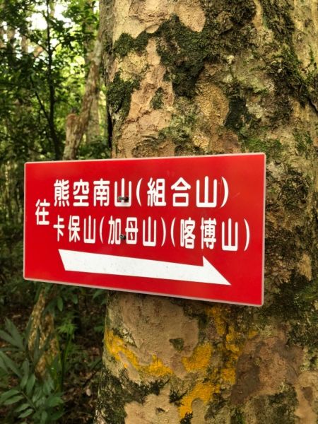 三峽雲森瀑布386460