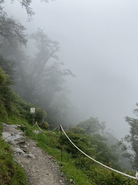 20201009 檜山巨木群步道1125566