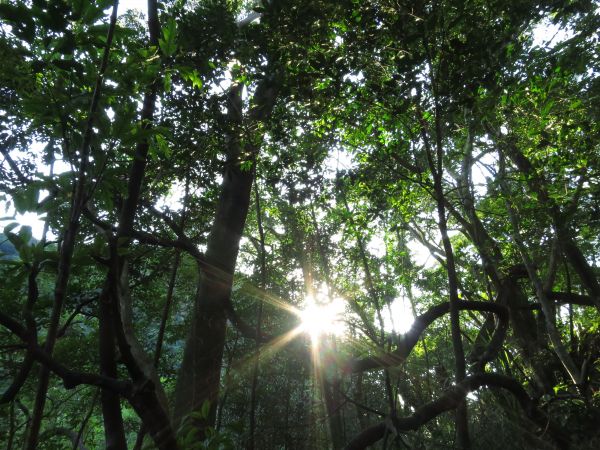 大溝溪親水公園、圓覺瀑布230819