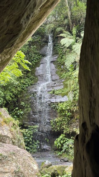 戲水（鴛鴦2786698