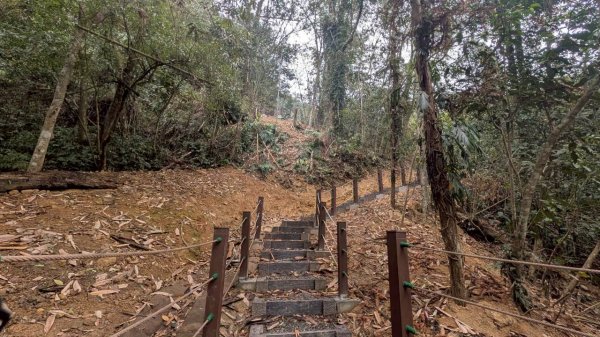 後尖山步道3008294