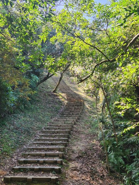 【小百岳】四分尾山連走汐止大尖山2356374