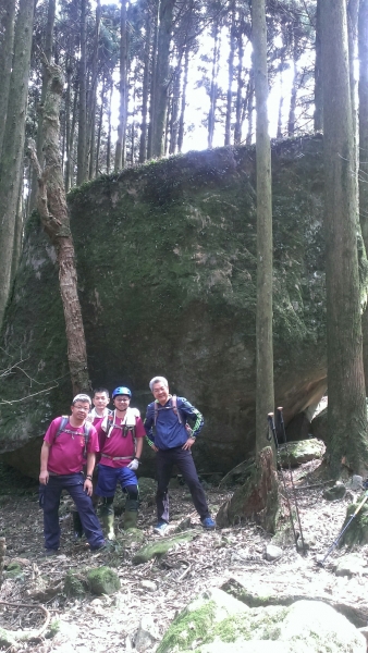 20160404苗栗加里山(二坪山入口)34213