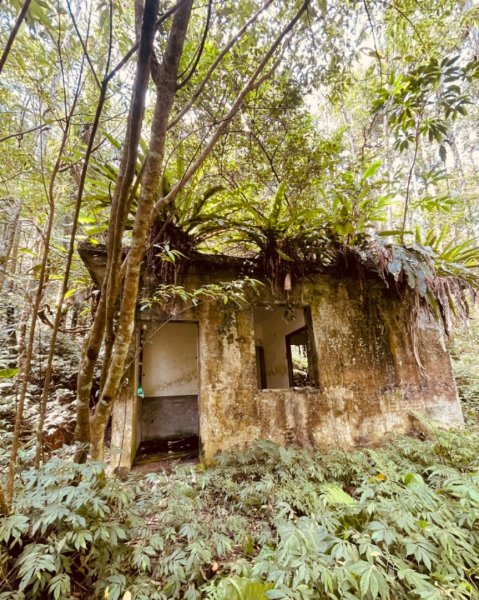 烏來阿玉溪山/西坑林道/探勘派出護管所彈藥庫遺址至獅坑橋2582030