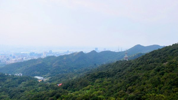 《臨江仙・碧山巖櫻花》2714228