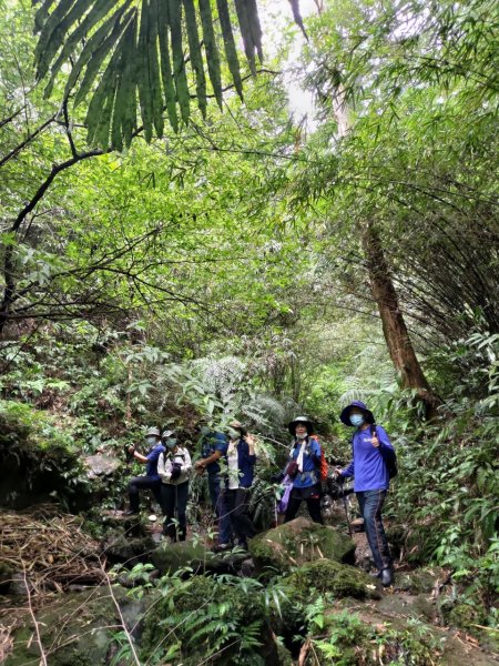 【小百岳集起來】#011 姜子寮山, 又稱“三角架山”, H729m1497179