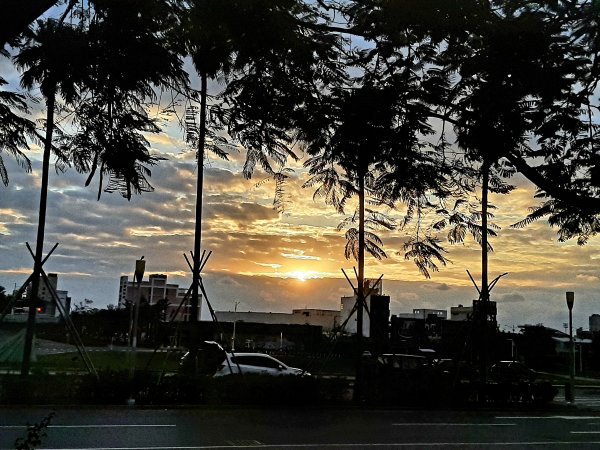 琅嶠卑南古道2717650