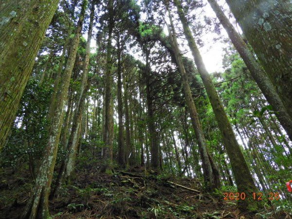 新竹 五峰 麥巴來山1217940