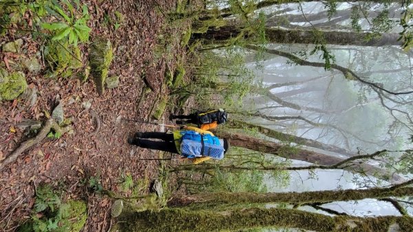 戒茂斯上嘉明湖-20250502-202505042859949