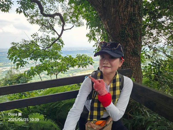 大溪大九芎步道上小百岳溪洲山(H577m)2844310