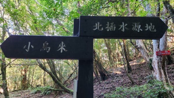 【中級山】插天山的奇幻世界，赫威山，赫威神木群步道2741316