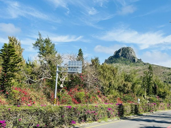 墾丁牌樓九重葛繽紛綻放　木棉含苞迎春