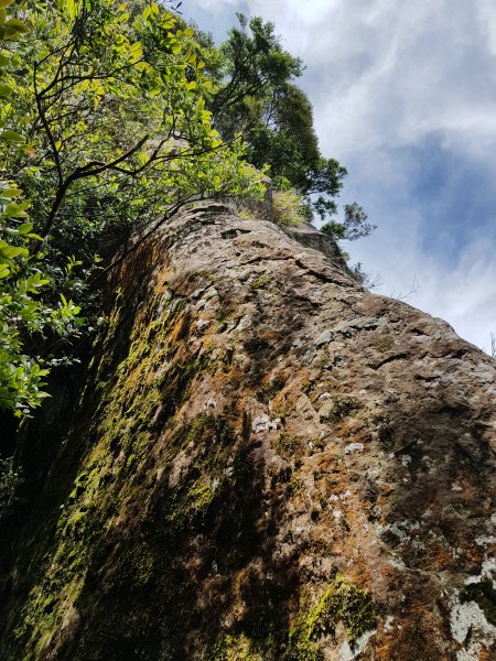復興三尖之那結山1423090