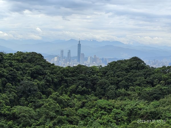 大湖公園→大溝溪生態治水園區→圓覺寺步道→圓覺瀑布→圓覺寺→鯉魚山步道【臺北大縱走 4、臺北健走趣】2849123